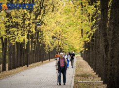 Бабье лето вернётся в Краснодар во второй половине ноября 