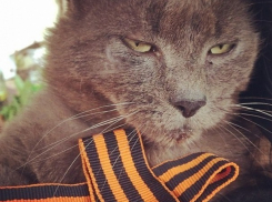 Штормовое предупреждение на День Победы объявили в Краснодарском крае