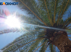 Краснодар туристический: где найти гостей и клиентов