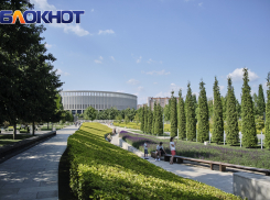 Великолепная пятерка: самые успешные спортивные команды Краснодарского края в 2023 году