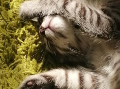 До +35 градусов прогреется воздух на Кубани в последнее воскресенье лета