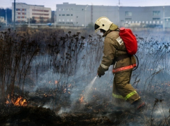 На Кубани МЧС объявило об угрозе лесных пожаров