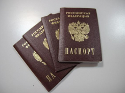 В Краснодарский край переехали 980 иностранцев