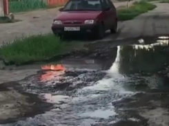 Реки из сыворотки потекли по дорогам кубанской станицы