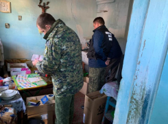 На Кубани будут судить мужчину за жестокое убийство жены и тещи