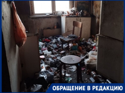 Полчища тараканов и зловонный запах: краснодарец превратил квартиру в многоэтажке в помойку