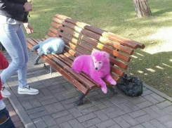 Разноцветные собаки в Геленджике вызвали бурную дискуссию