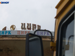 Ряд нарушений в отношении животных обнаружили в кубанском цирке-шапито