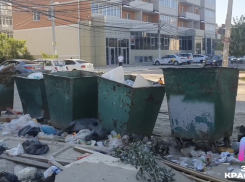 «Их привезли со всего района?»: в Краснодаре поселок Российский завалили мусорками