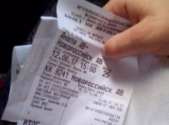 В Анапе матери восьми детей отказали в проезде в автобусе из-за «большого количества ребят»