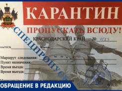 «Люди по две недели ждут, а вы за три дня хотите», - краснодарец не может получить красный пропуск