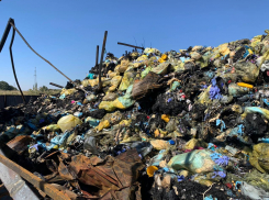 Прокуратура неделю решала, разбираться ли ей со свалкой опасных медицинских отходов под Краснодаром