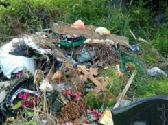 В Сочи центральное кладбище завалили мусором