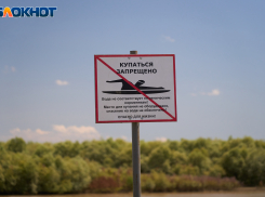 «Пожинаем плоды заработка на городе»: политики и эксперты Краснодара о загрязнении реки, запрете на купание и отсутствии пляжей