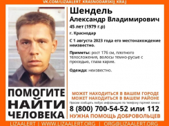 В Краснодаре ищут 45-летнего мужчину, пропавшего 7 месяцев назад
