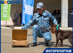 Чемоданчик криминалиста и выступление кинолога: МВД открыло выставку на площадке КубГАУ