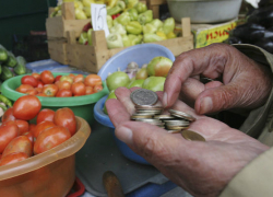 На Кубани продолжают расти цены на продукты