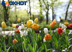 Краснодарцев ждет солнечная и теплая среда