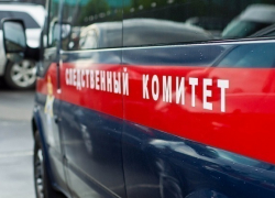 СК проводит проверку по факту гибели 2-летней девочки на Кубани