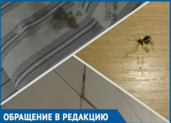 Грязные матрасы, тараканы и отваливающаяся плитка: так встречает беременных краснодарская больница
