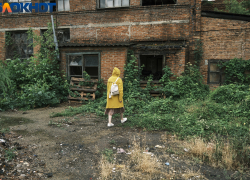 На юге России две беды: … и родственники-3. В Краснодаре насилуют родственницу, в Астрахани воруют у дочери, в Волгограде хотят убить жену