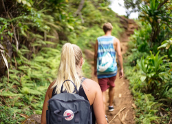 Губернатор Кубани назвал туристов-«дикарей» возможной причиной пожаров на побережье