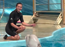 «Подвинься, Пушок!»: Предсказывать ЧМ-2018 начал анапский кит