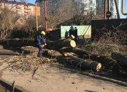  Три электростолба и дерево упали на дорогу в поселке Краснодарском 