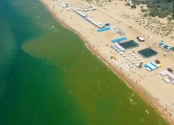  Черное море возле Анапы стало зеленым - видео
