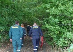 В краснодарских лесах нашли труп пропавшего пенсионера