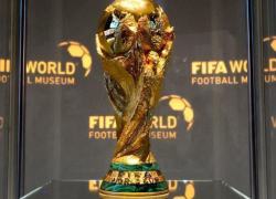  На Кубань приедет кубок мира по футболу 