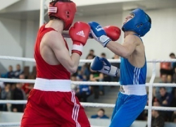 Кубанские боксеры представят Россию на первенстве мира 