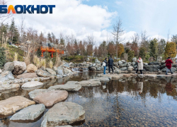 Весеннее тепло ворвётся в Краснодар в конце января