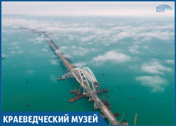 «Понаплыли» из Сахалина моллюски в Краснодарский край