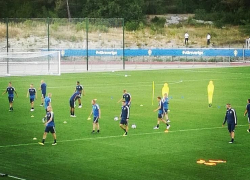 Трехцветная кошка открыла тренировку сборной Швеции в Геленджике