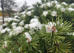 Снегодождь и ураганный ветер обрушатся на Краснодарский край
