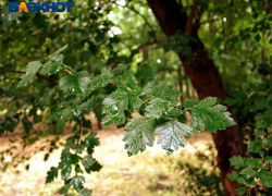 Период дождей вновь наступил в Краснодаре