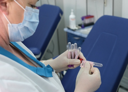 Роста нет: на Кубани выявили 185 новых случаев заражения коронавирусом 