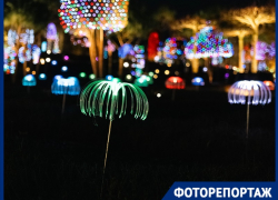 Ангелы, кролики и шары: новогодняя иллюминация превратила парк Галицкого в сказочную локацию