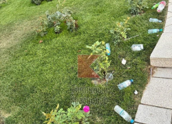 «Свинарник»: посетители забросали мусором газоны в парке Галицкого 
