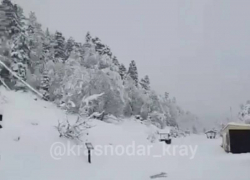 В Краснодарском крае и Адыгее 5 мая выпал снег