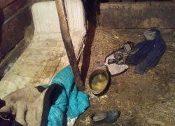 «Накинул веревку на шею и отправил в сарай»: на Кубани за издевательства над детьми отцу дали 200 часов работ