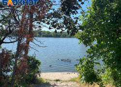 В Краснодаре мужчина ловил и разделывал уток из озера Карасун