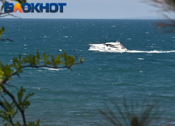 Страшная вонь, тревога и огромная сумма: туристов разочаровала морская прогулка в Сочи