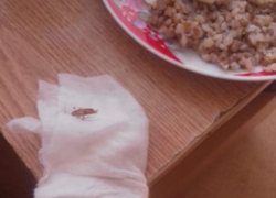  Ребенку с ДЦП в армавирской больнице подали кашу с тараканом 