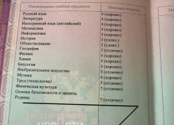 В Краснодаре отреагировали на скандал с зачислением школьницы в 10-й класс гимназии № 72