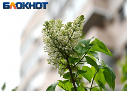 Заморозки до -3 градусов ожидаются в Краснодарском крае в конце апреля