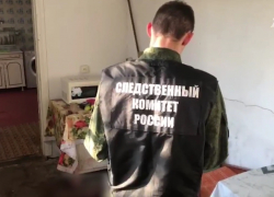 За растерзание питбультерьерами четырёхлетней краснодарки осудят жителя Сочи