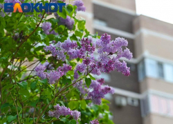 Конец недели омрачит краснодарцев дождем