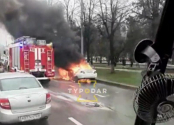 В центре Краснодара на дороге сгорел автомобиль